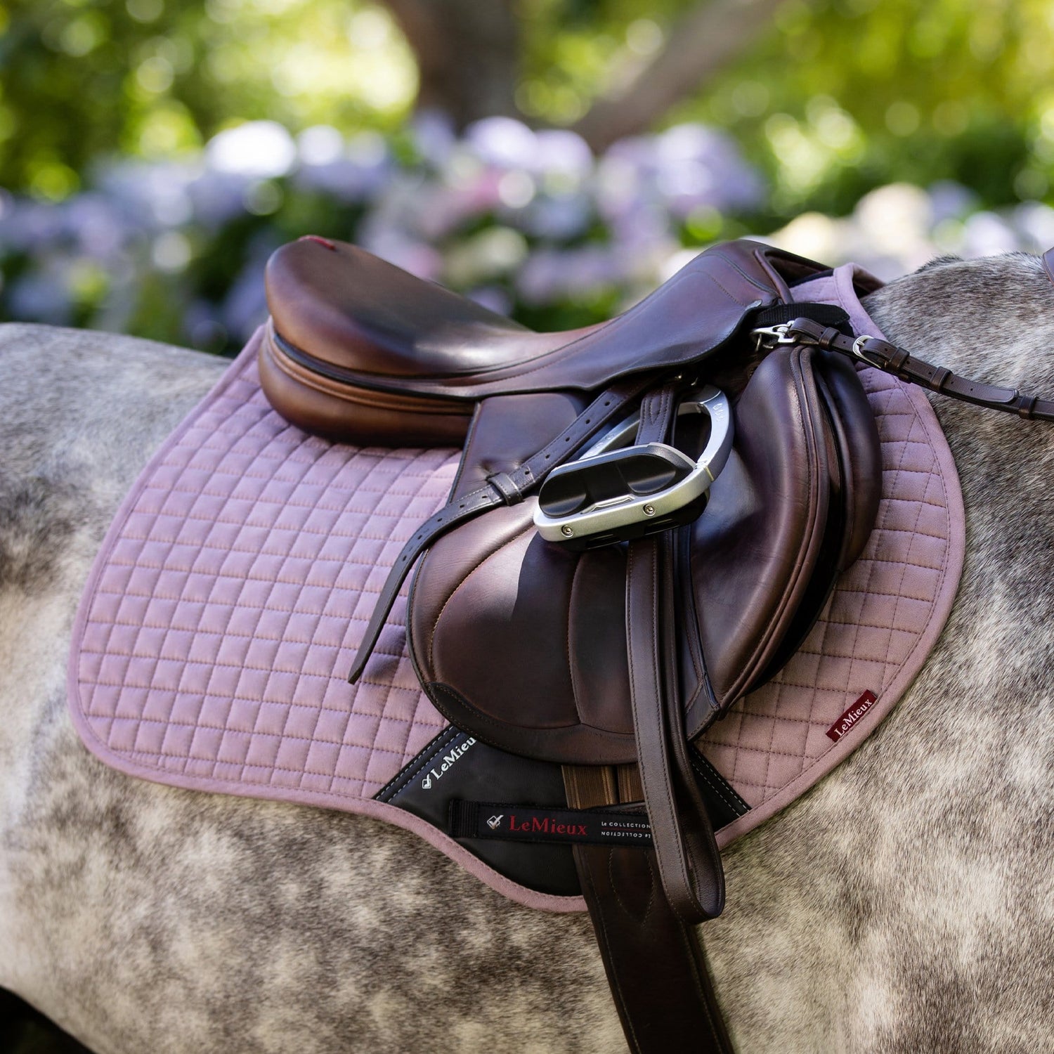 horse saddle pads lemieux